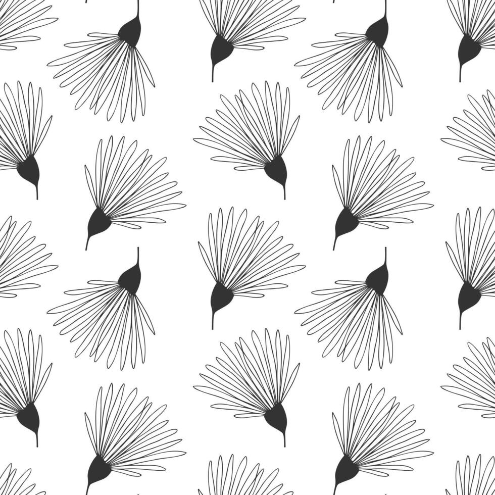 Chrysanthemums stylized outline drawing on white background, floral pattern black and white, graphic. vector