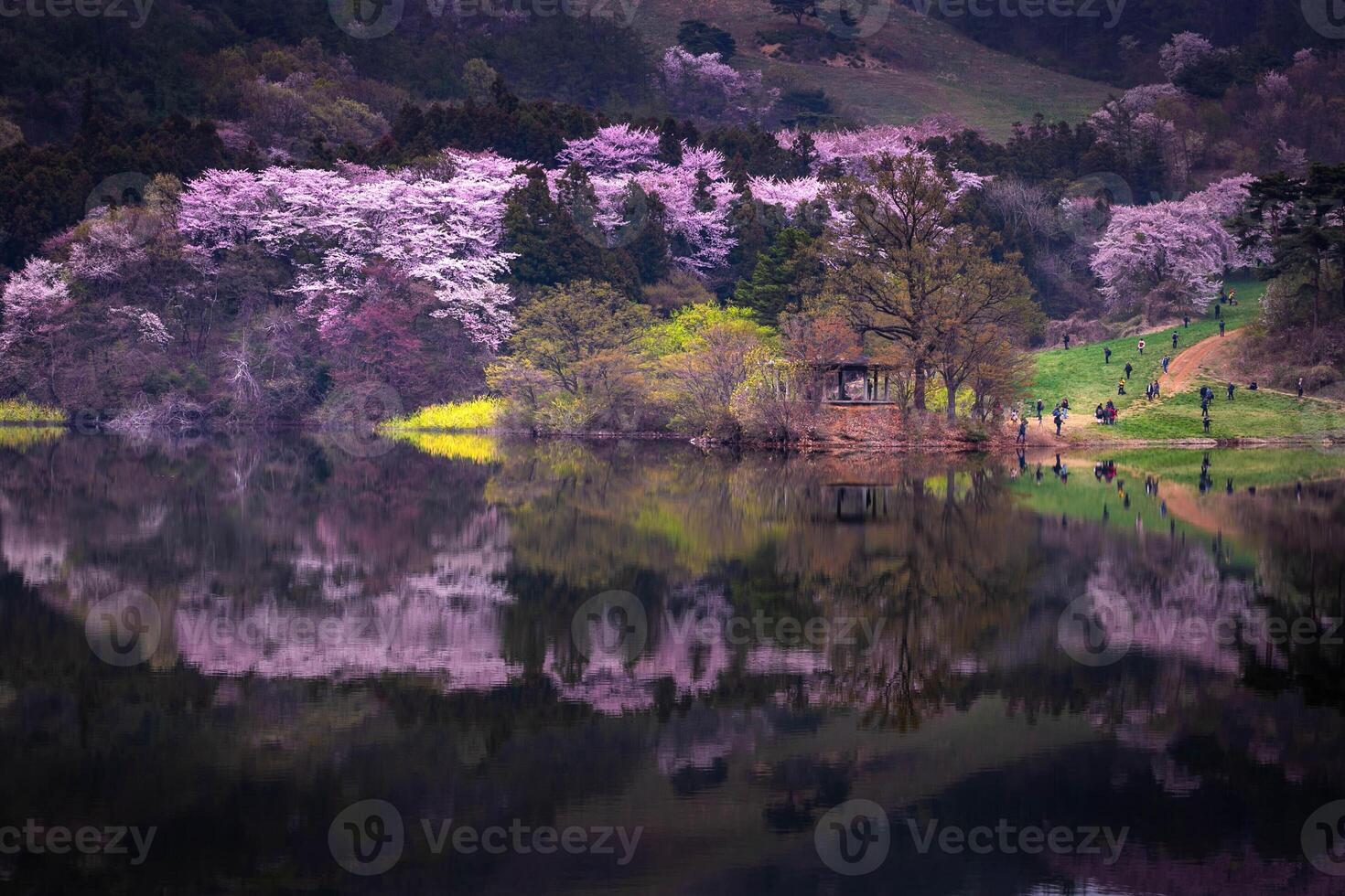Japan Nature View Stock Photos, Images and Backgrounds for