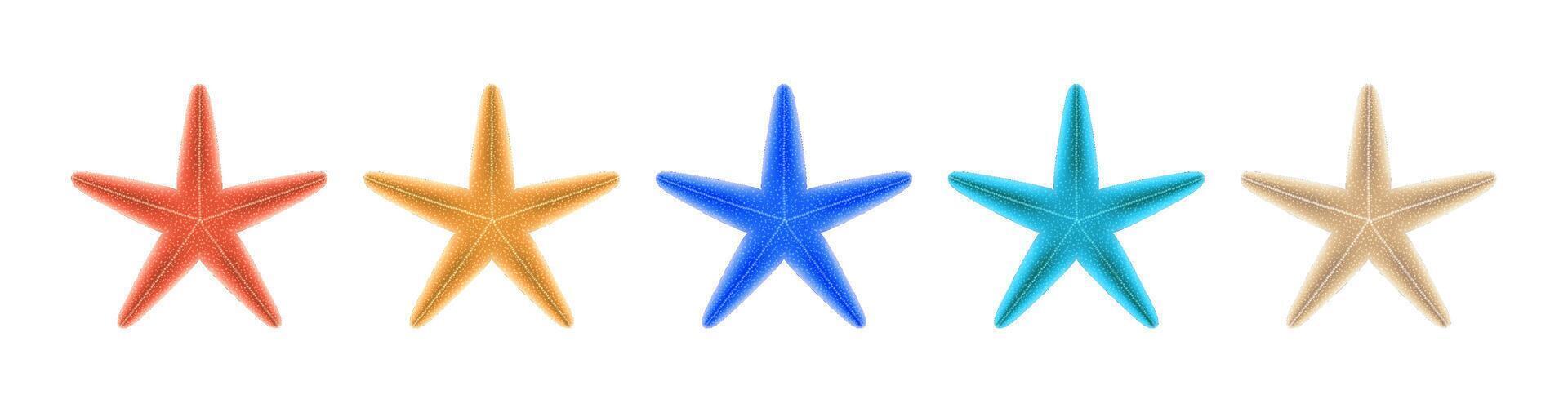 Five vibrant starfish arranged in a line, showcasing diverse colors from red to beige on a white background. Perfect for marinethemed designs. with copy space vector