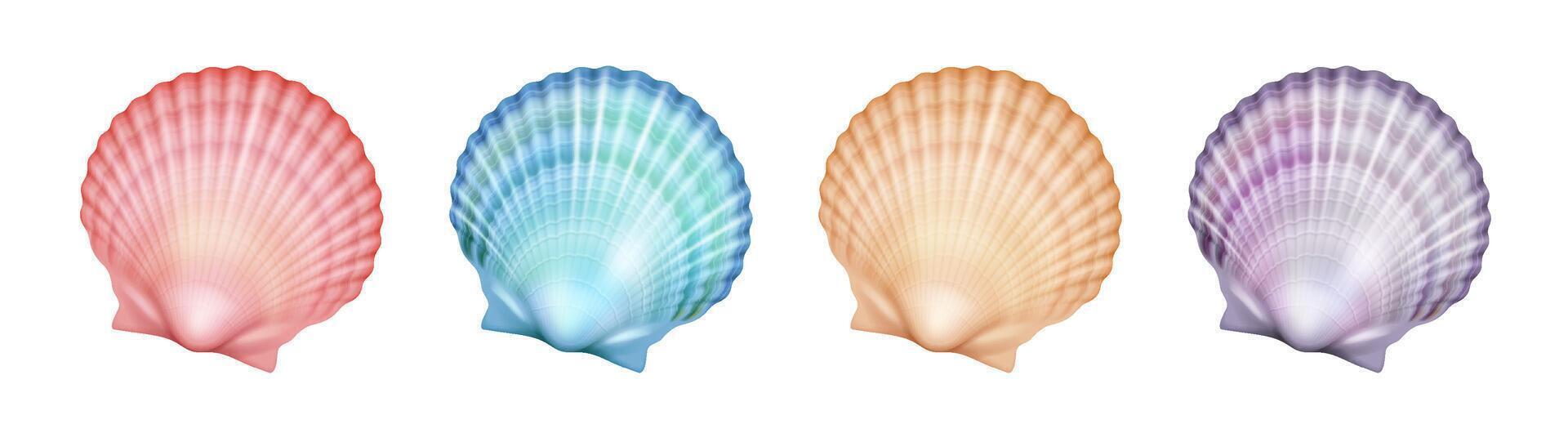 Illustration of colorful scallop shells in pink, blue, orange, and purple hues, showcasing variety of vibrant pastel colors for design inspiration and decoration. vector