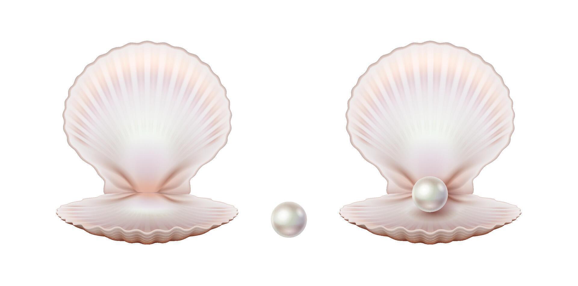 Illustration of open seashells with pearls, smooth pastel colors, symbol of elegance and luxury, isolated on white background, perfect for jewelry marketing. vector