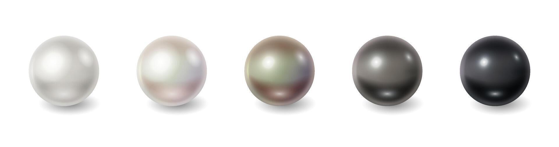 Collection of pearls displaying elegant shades from white to black. Perfect for jewelry design and fashion decoration. Highlights natural beauty and sophistication with copy space. vector