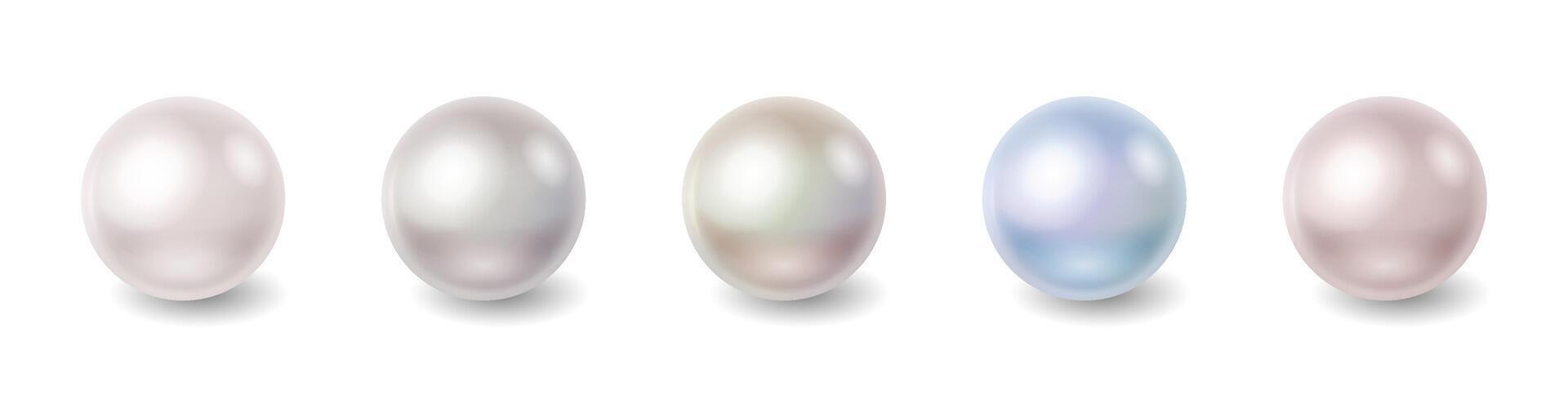 Realistic illustration of five pearls varying in color from white to blue arranged in a row representing elegance and luxury on a simple white backdrop with copy space vector