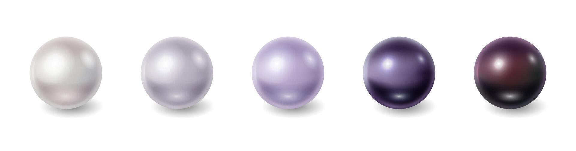 Digital illustration of five realistic pearls in various shades white, gray, lavender, deep purple, black with glossy finish against plain white background perfect for jewelry or decoration design. vector