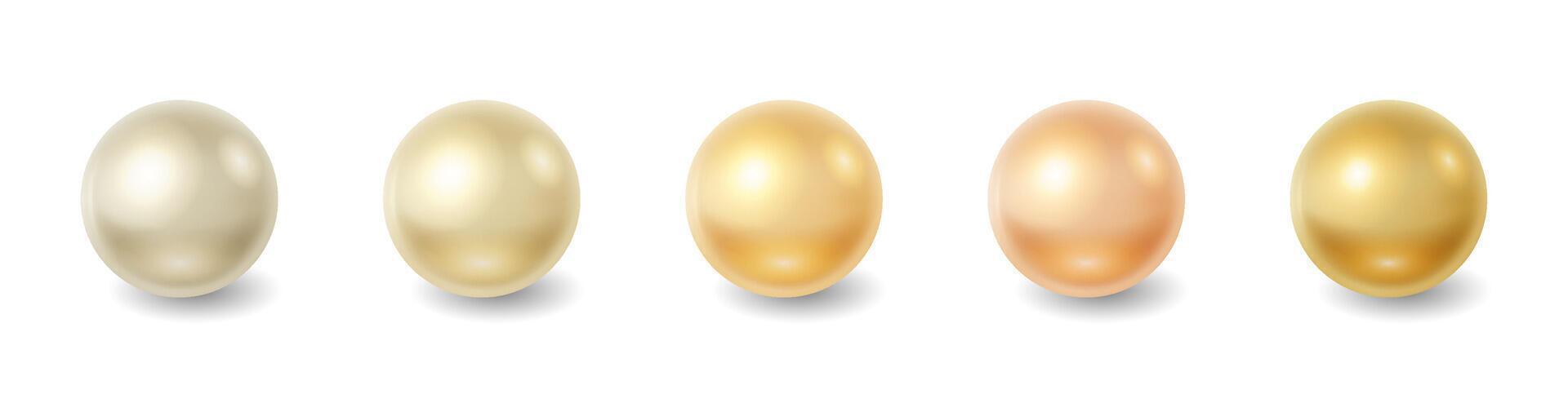 Illustration showing five shiny pearls in gradient shades from white to gold on plain white background. Perfect for luxury and elegance themed designs or jewelry concepts. with copy space vector