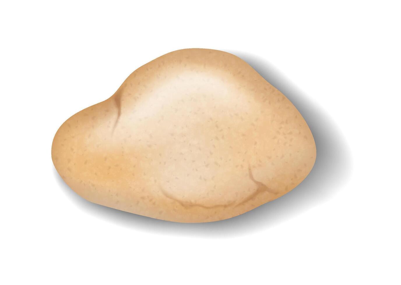 Realistic illustration of a brown potato with natural textures and subtle shadows. Depicts food and cooking ingredients. Perfect for culinary and nutrition themes. vector