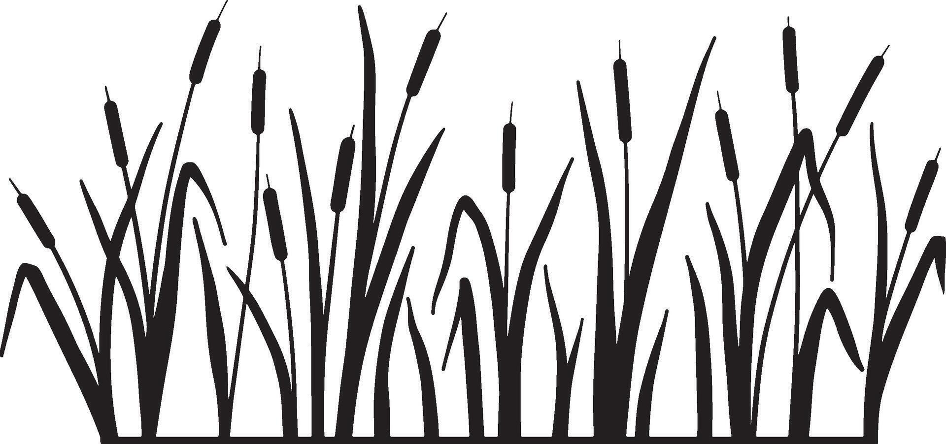 Cattail grass border silhouette. vector