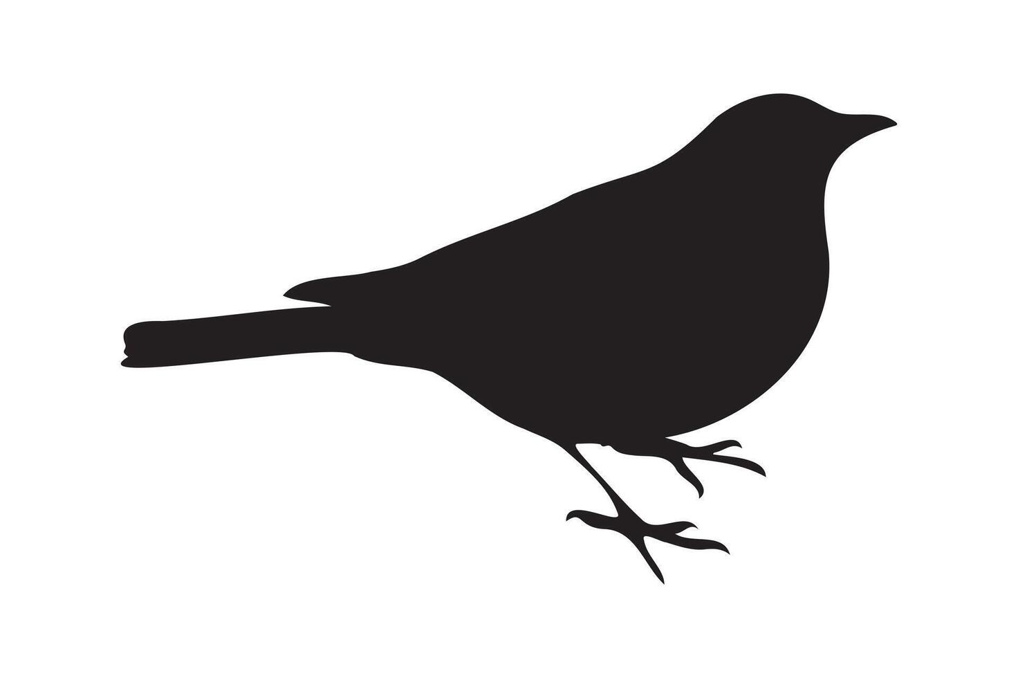 Black bird silhouette illustration. vector