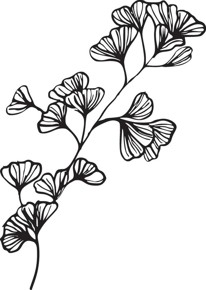 Botanical line art floral branch illustration. vector