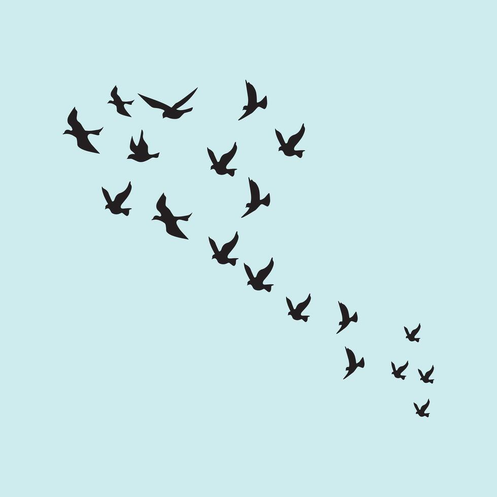 Flying birds silhouetted on a blue sky background. vector
