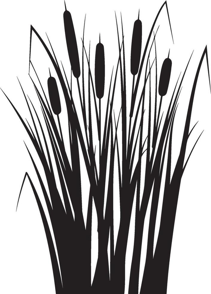 Cattail grass silhouette illustration. vector
