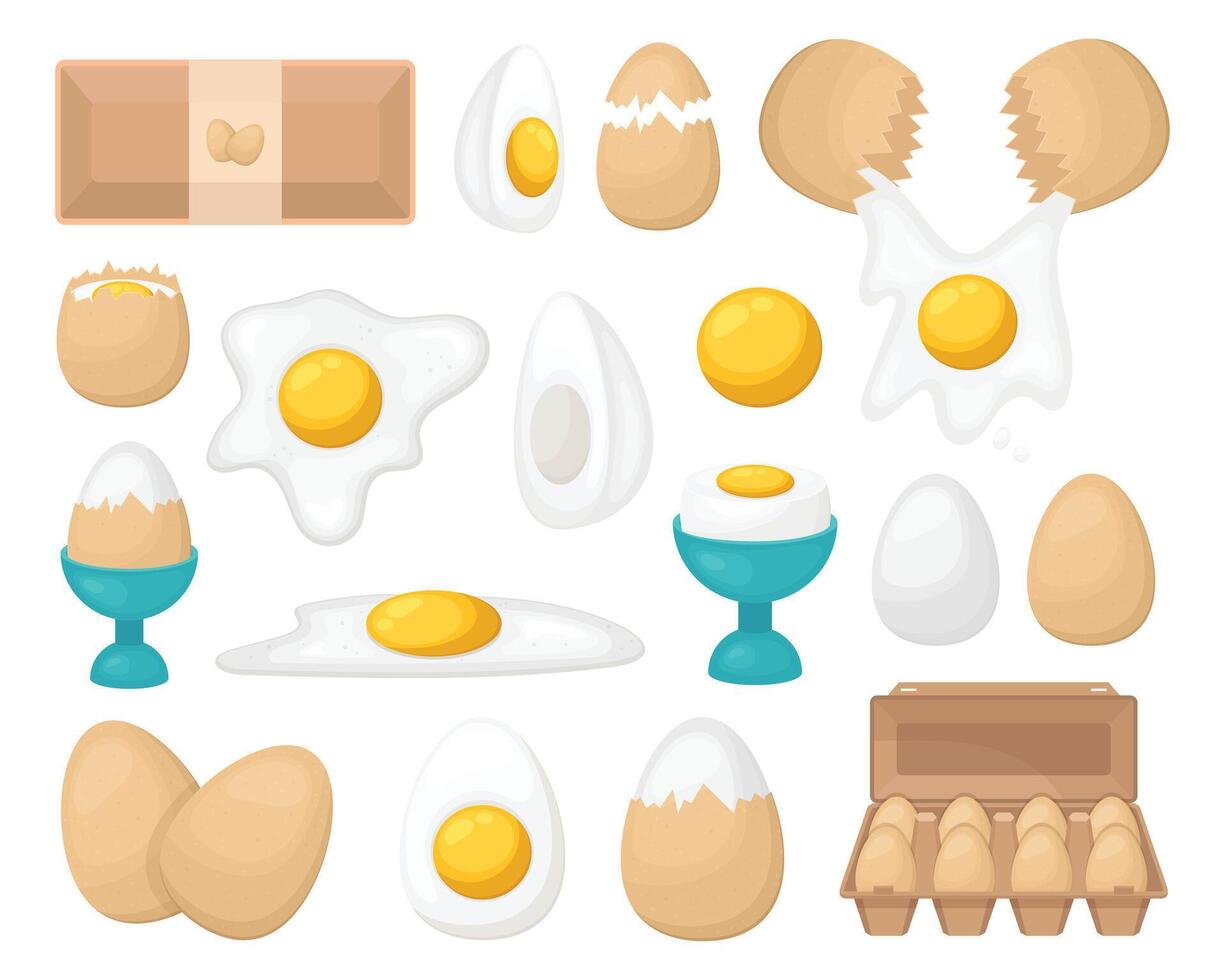 Chicken eggs clipart design illustration vector