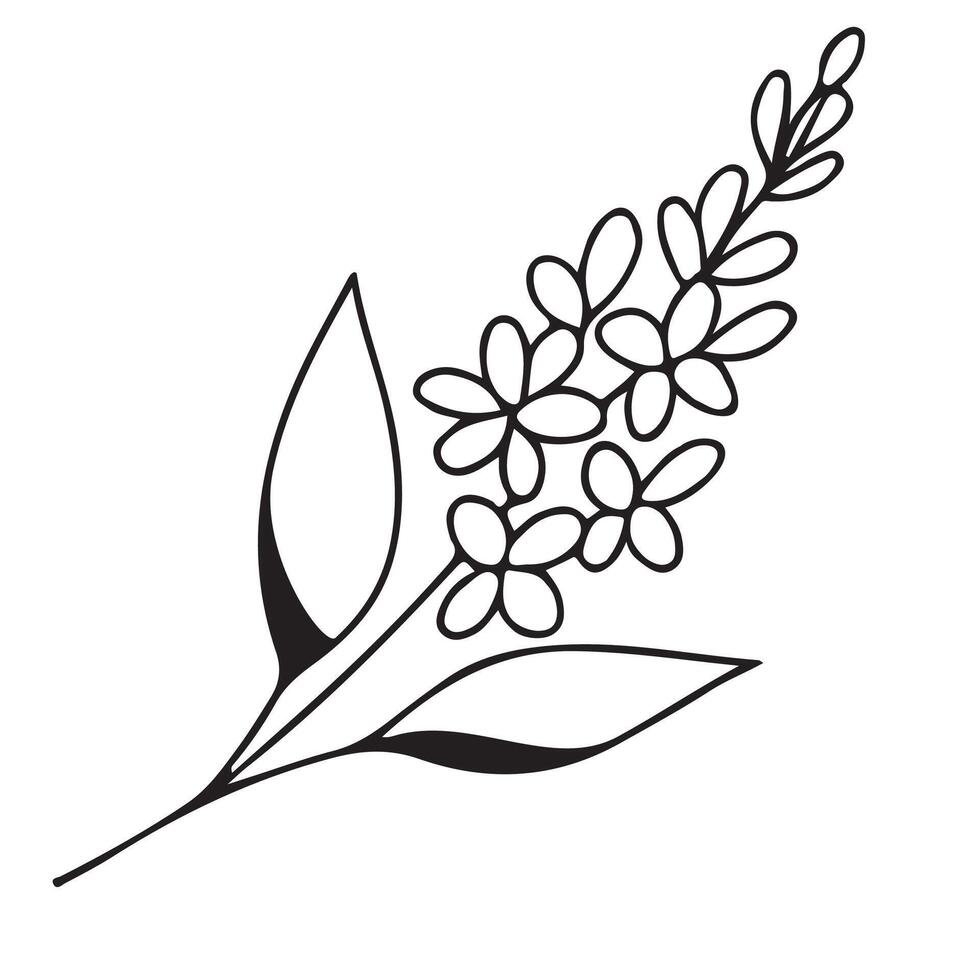 simple icon of a lilac branch drawn with several lines in line art style, for logos and tattoos vector