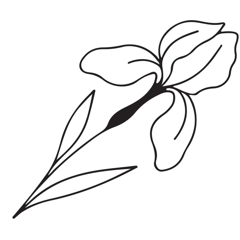 simple thin icon of an iris bud drawn with several lines in line art style, for logos and tattoos vector