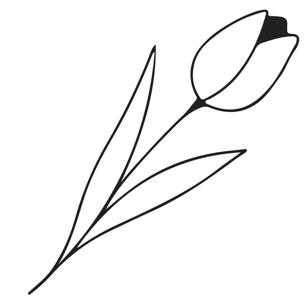 simple icon of a tulip bud drawn with a few lines in line art style, for logos and tattoos vector
