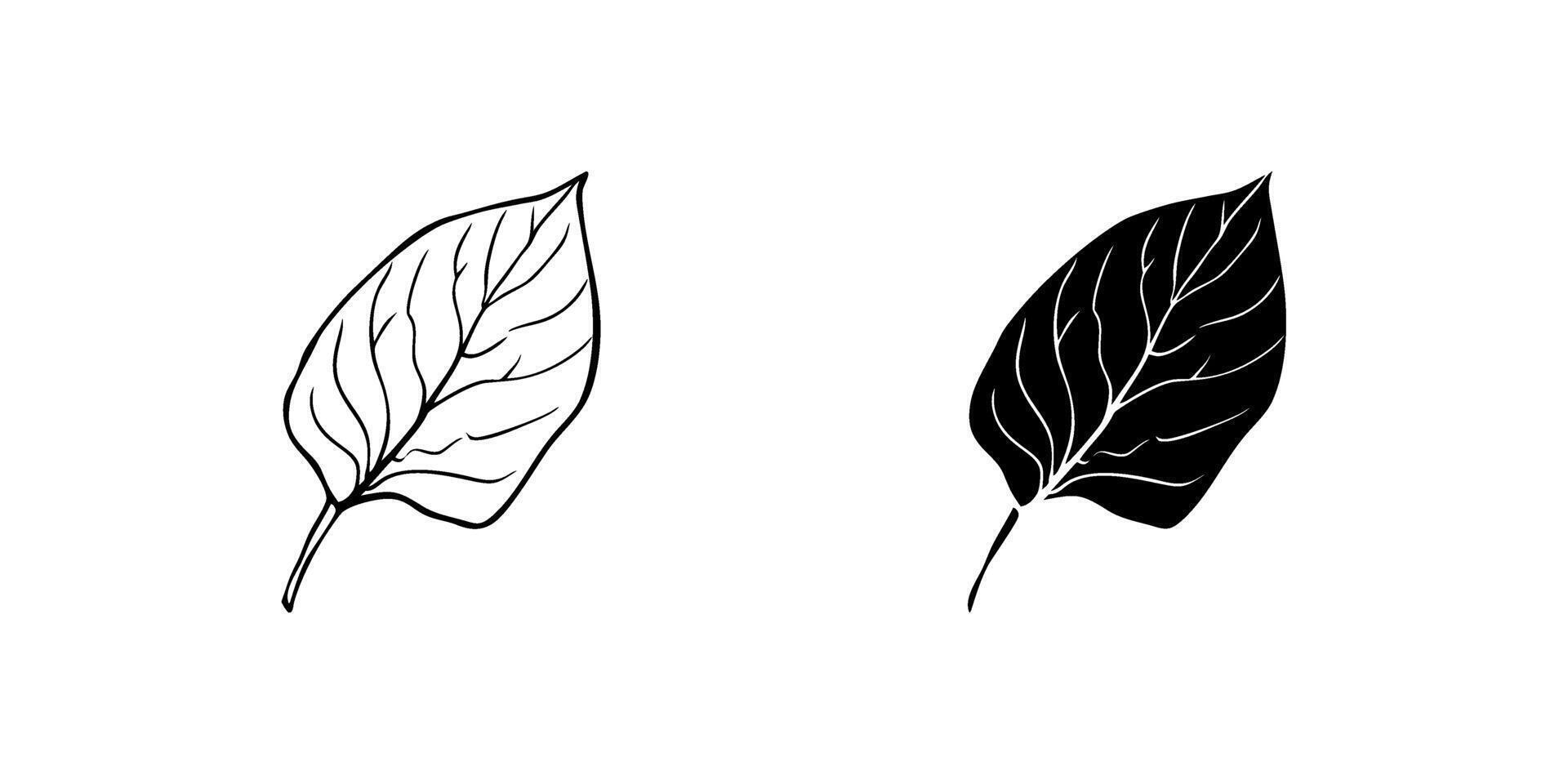 A minimalist icon set depicting leaves, perfect for nature and eco friendly designs. vector
