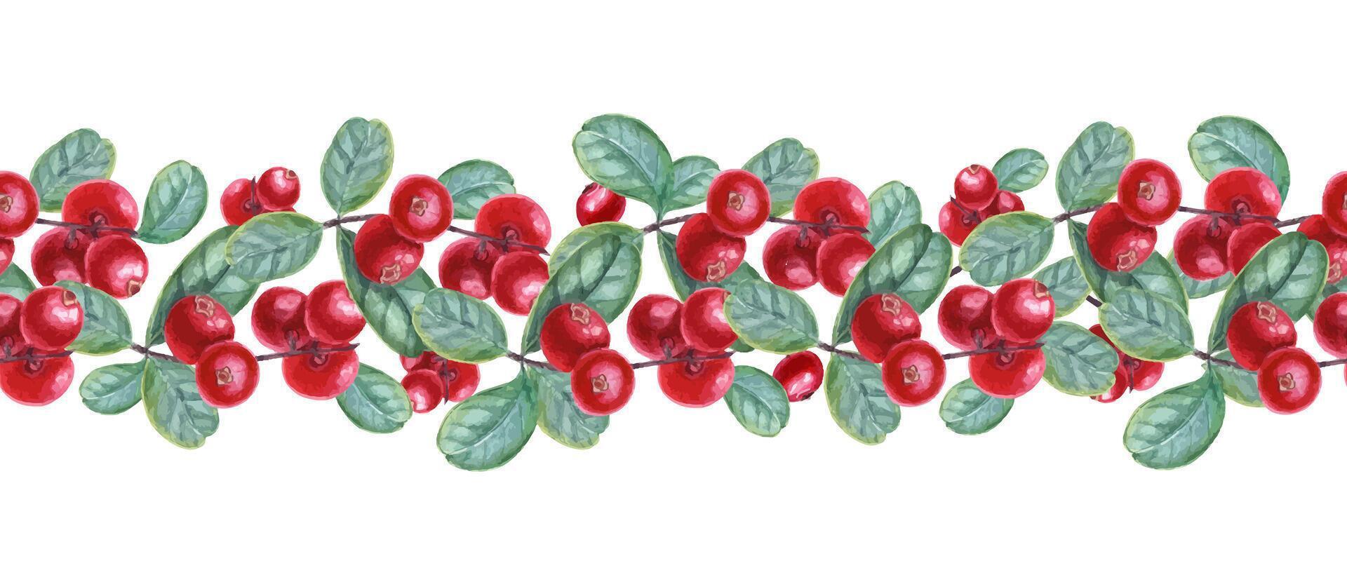 Watercolor cowberries with leaves and berry seamless banner isolated background. Forest Nordic red berries on branches for recipe books, health blogs, holiday gifts, Christmas, Thanksgiving textile vector