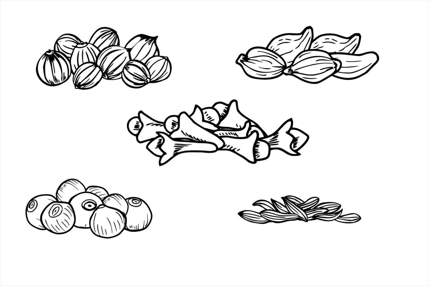 Monochrome aromatic dried spices and seasoning seed pile line art black ink sketch. Black pepper, clove buds, coriander, kernel and mustard graphic illustration. For cooking recipe, medicine vector