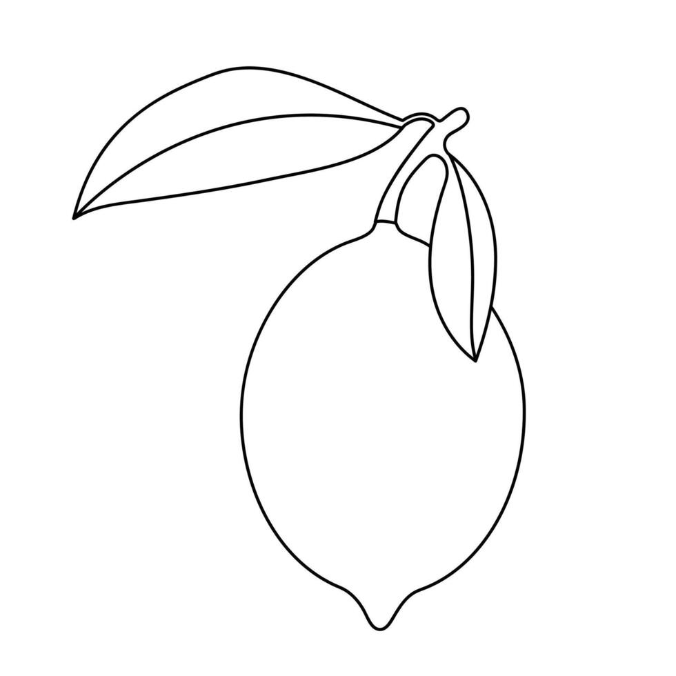 Lemon icon in linear style. Black outline element of fruit on isolated background. Citrus. Proper nutrition. vector