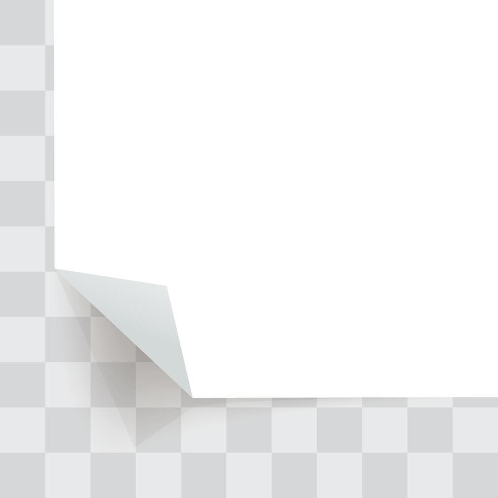 a paper folded corner on template back vector