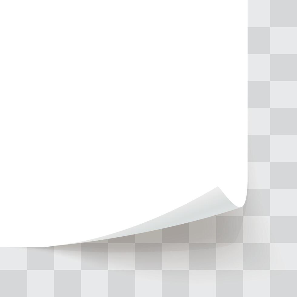 paper bottom corner rolled on template back vector