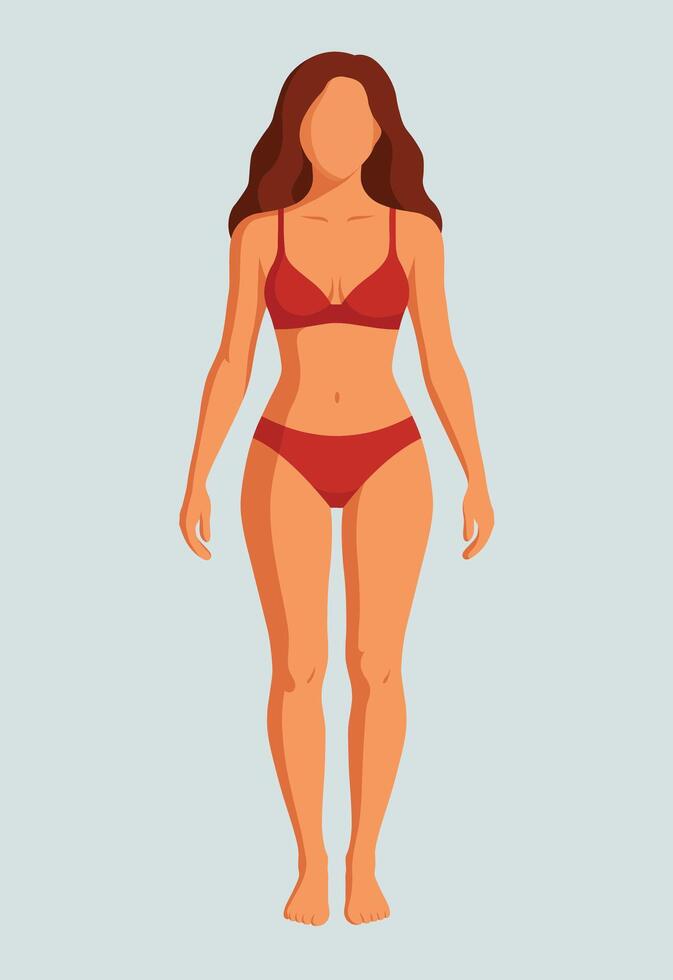 A woman in a bikini with a flat body vector