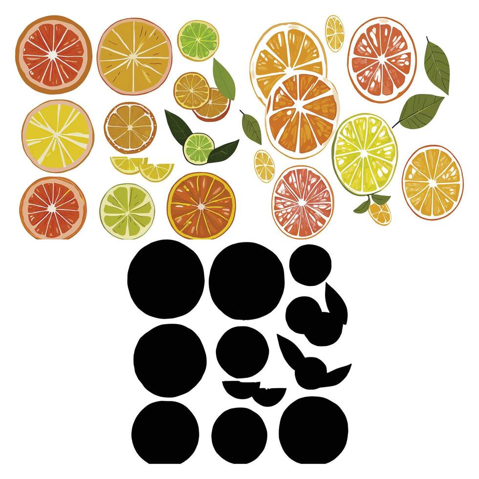 Citrus Fruit Wheel Fresh and Dried Slices vector