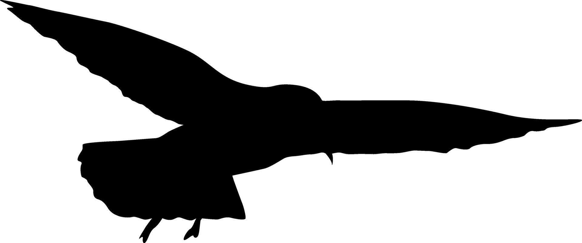 Silhouette of a large seagull with spread wings on a white background vector