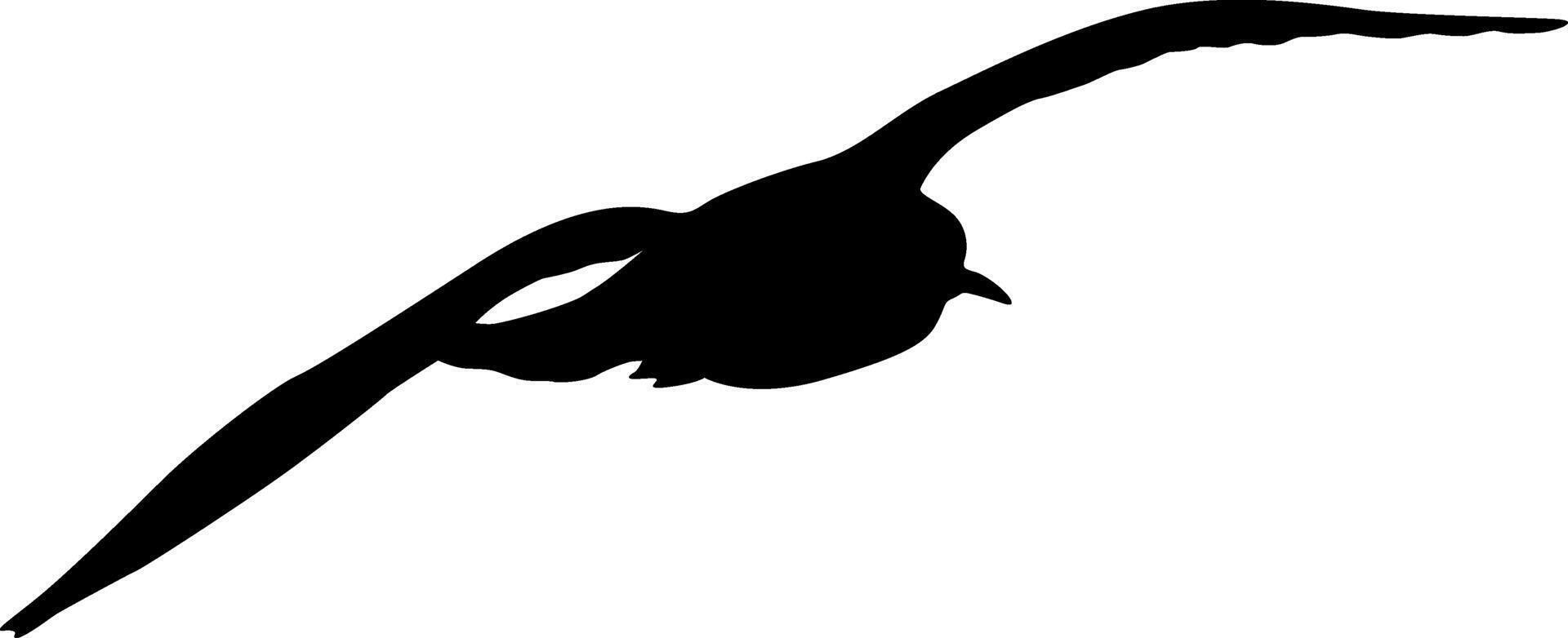 Silhouette on a white background a sea gull vector