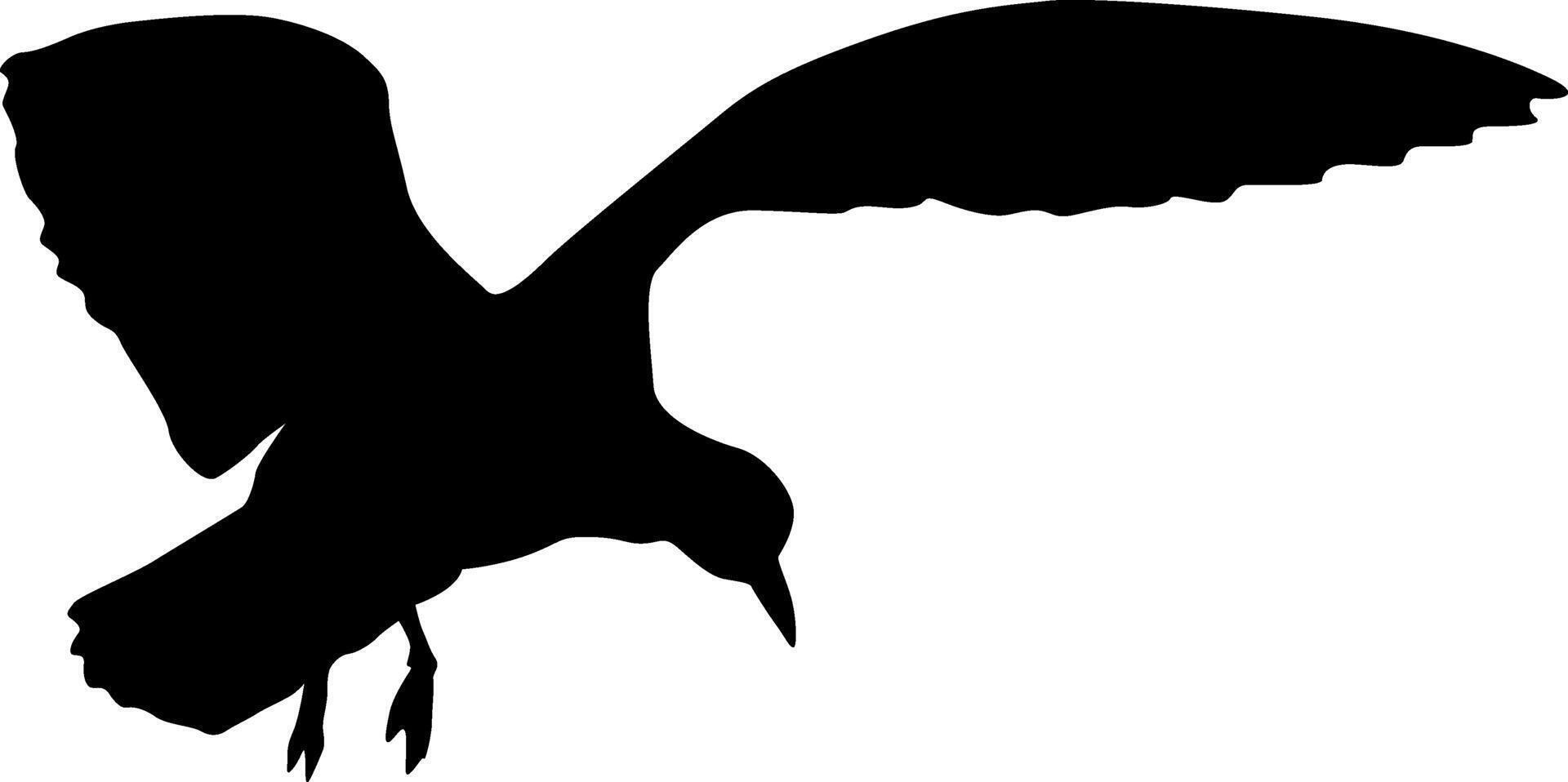 Silhouette on white background of a sea gull vector