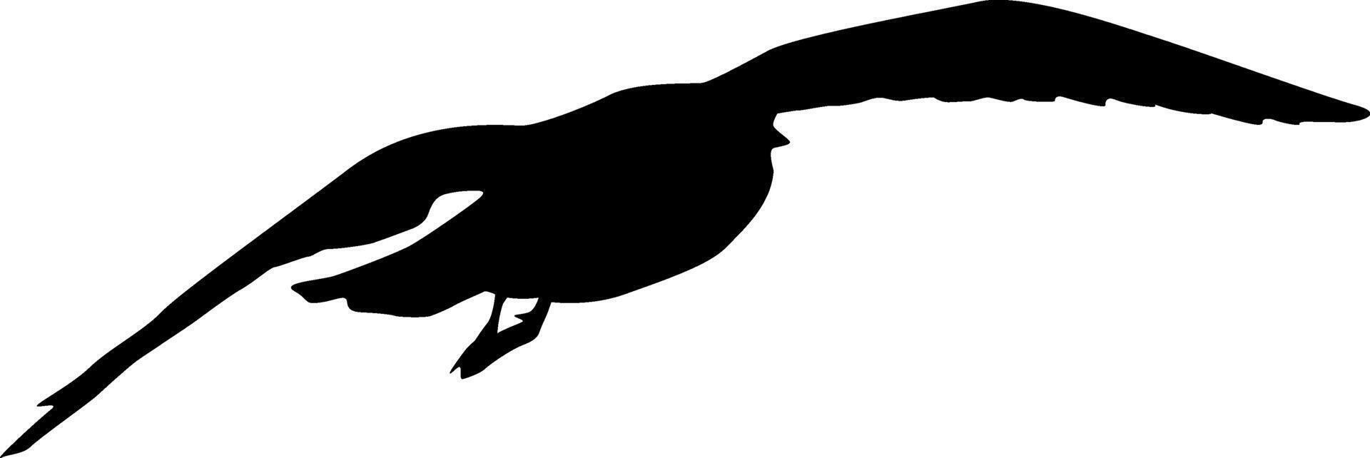 The Silhouette on a white background of a sea gull vector