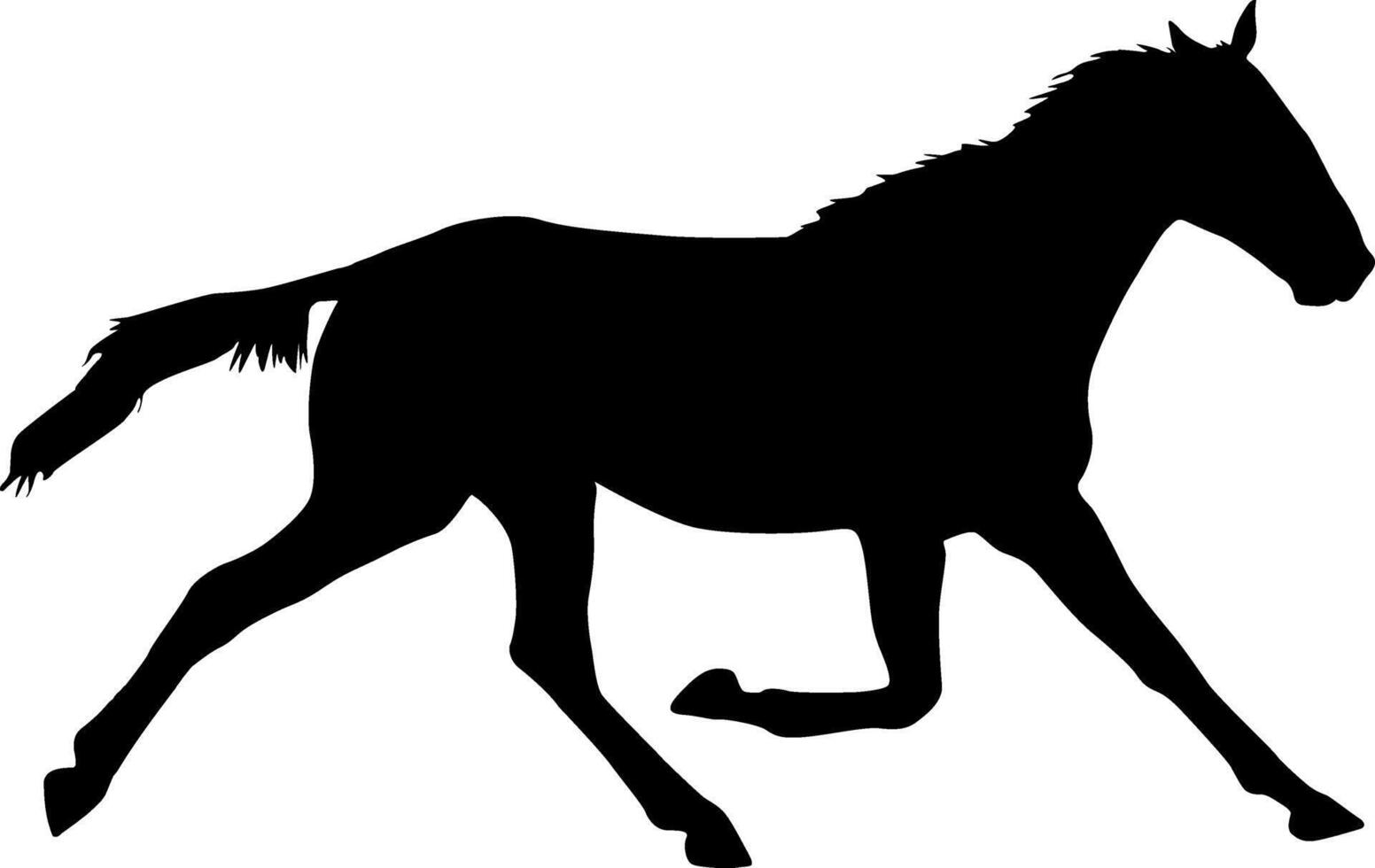 Silhouette of black mustang horse on a white background. vector