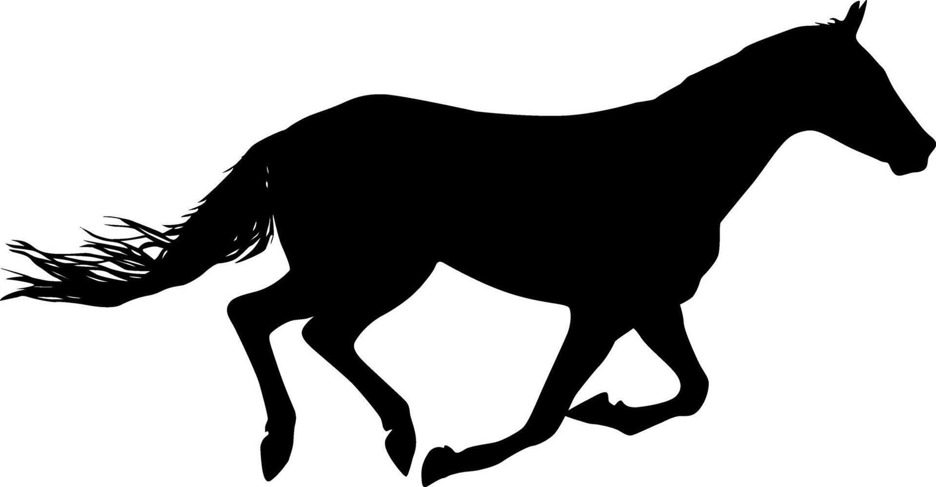 The silhouette of black mustang horse on a white background vector