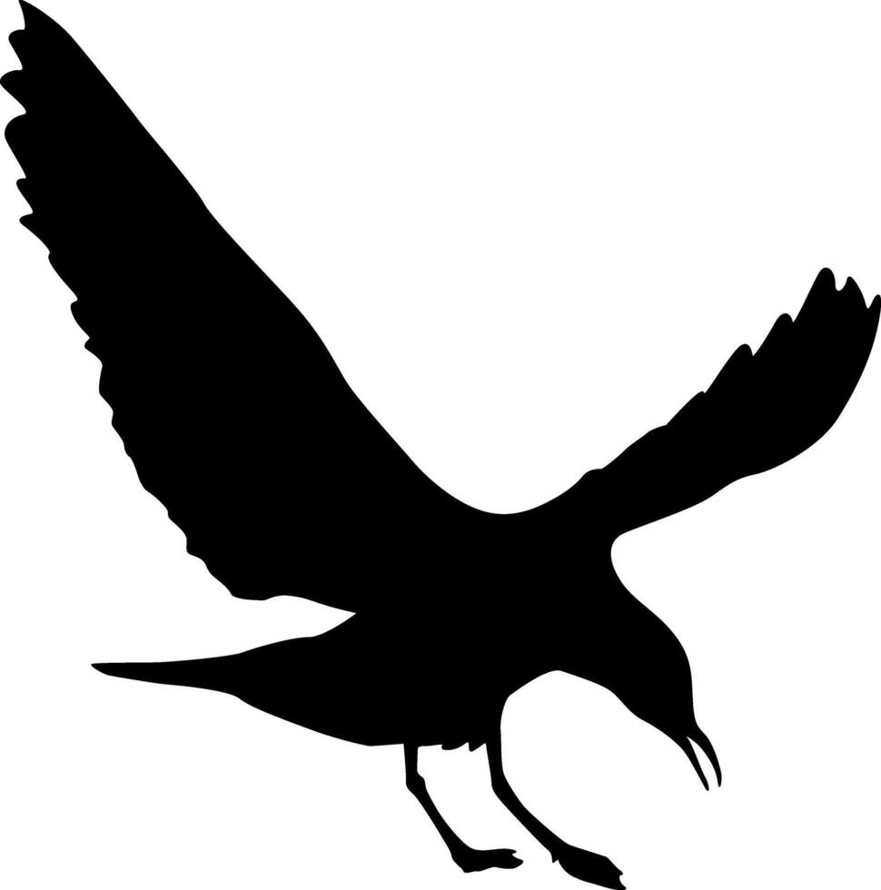 Silhouette of a large seagull landing on the ground on a white background vector