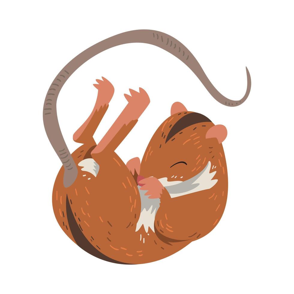 Field Mouse Sleeping on Its Back, Fluffy Red Rodent Animal with Black Stripe Illustration vector