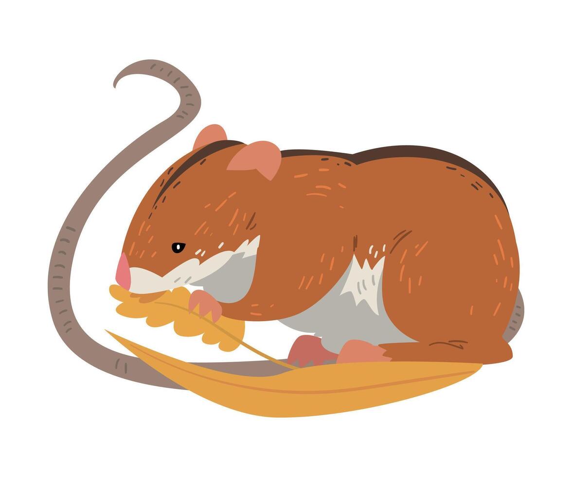 Field Mouse Eating Wheat Grains, Cute Fluffy Red Rodent Animal with Black Stripe on Its Back Illustration vector