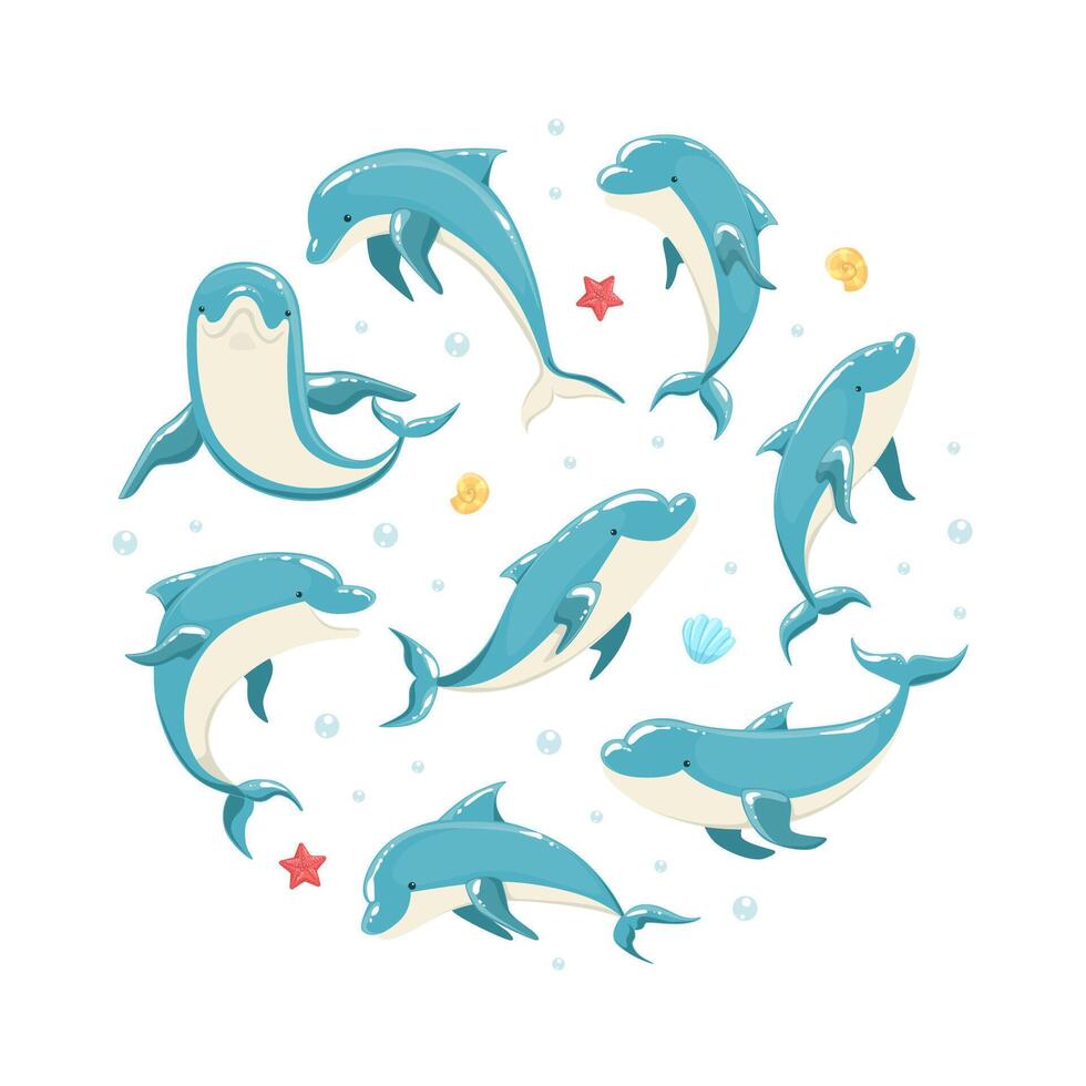 Dolphin Banner Template, Marine Sea Creature Pattern of Round Shape Illustration vector