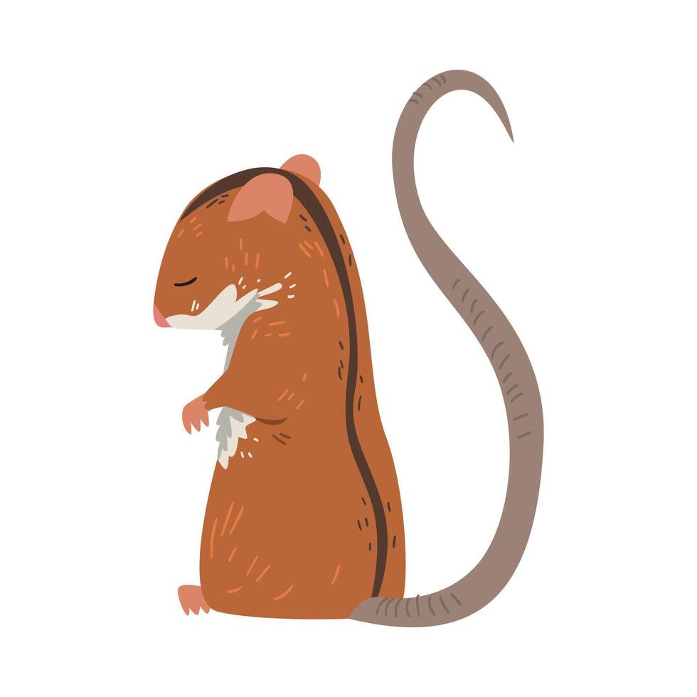 Field Mouse Standing on Hind Legs, Cute Red Rodent Animal with Black Stripe on Its Back Illustration vector