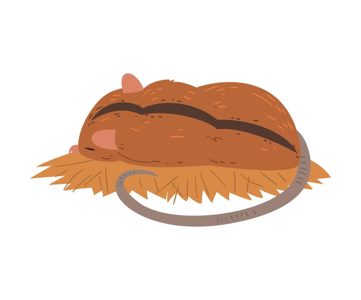 Field Mouse Sleeping on a Straw Litter, Cute Fluffy Red Rodent Animal with Black Stripe on Its Back, View From Behind Illustration vector