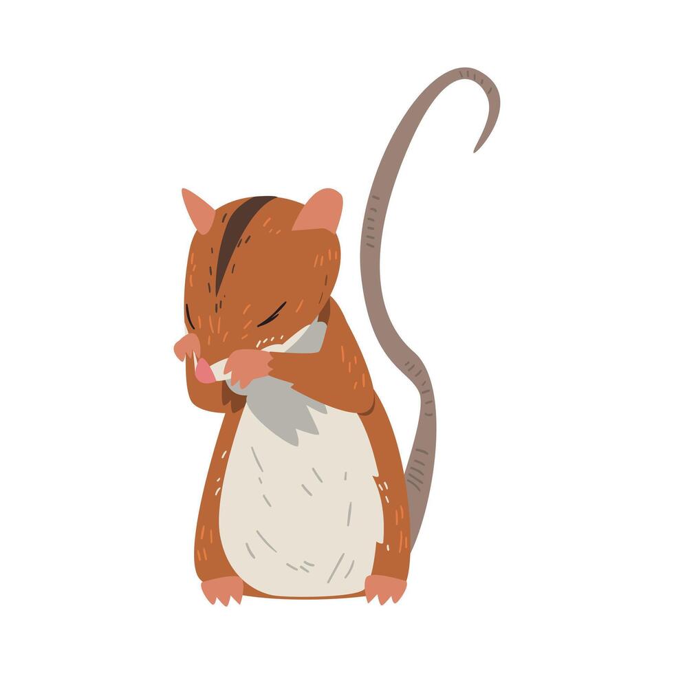 Field Mouse Standing on Hind Legs and Covers its Muzzle with Paws, Cute Fluffy Red Rodent Animal with Black Stripe on Its Back Illustration vector