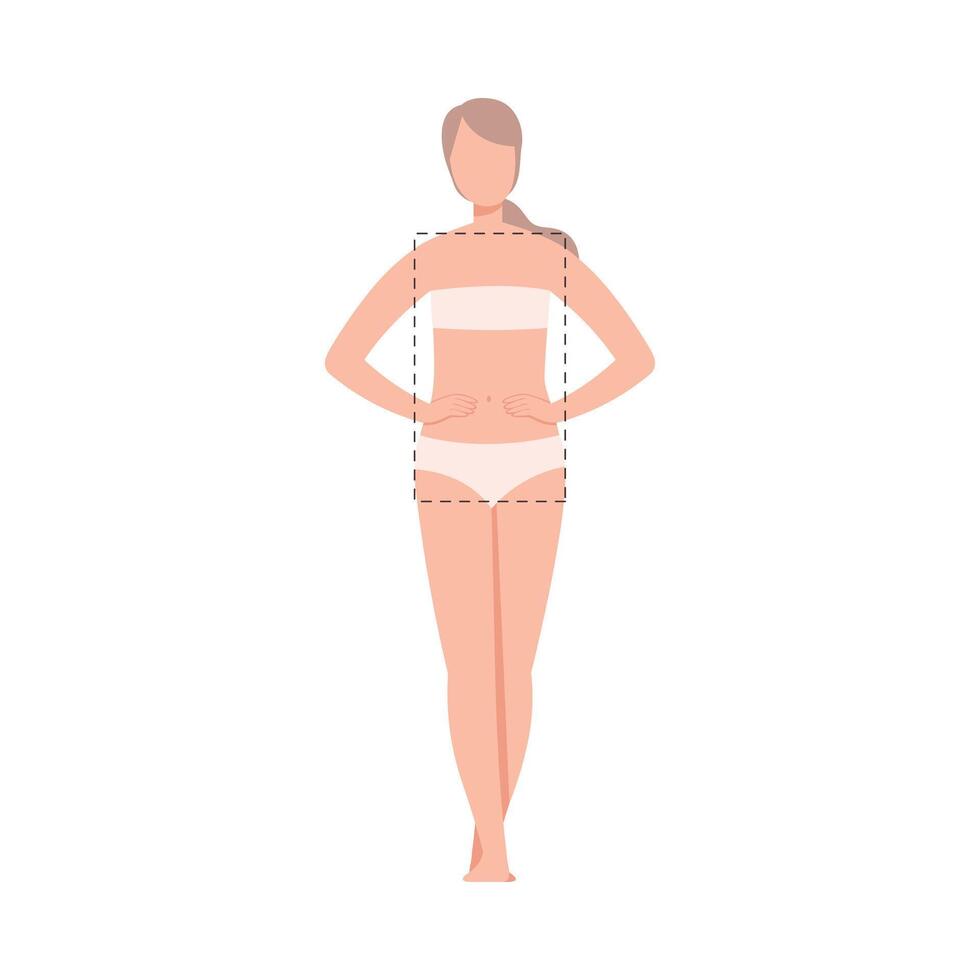Beautiful Woman in Underwear, Female Rectangle Body Shape Flat Style Illustration vector