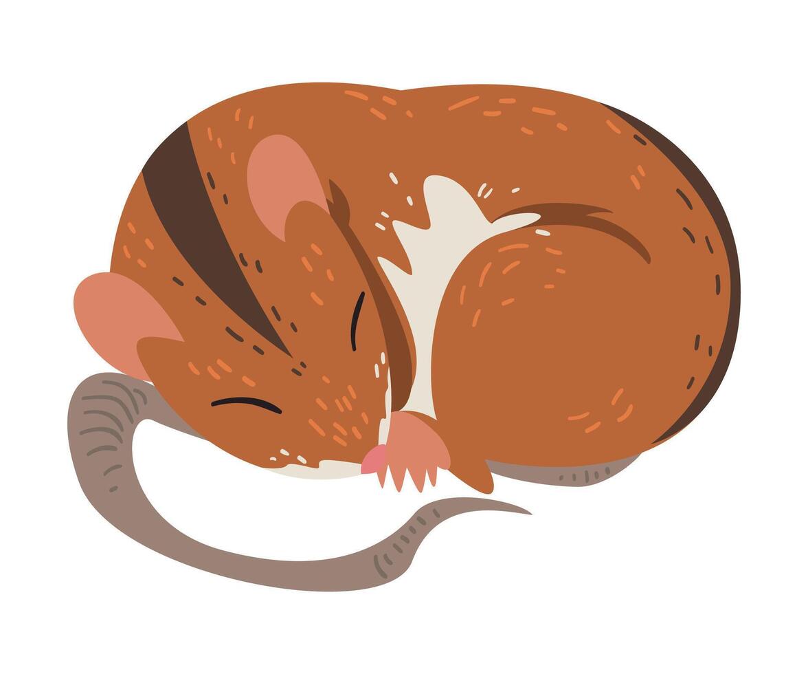 Field Mouse Sleeping, Adorable Fluffy Red Rodent Animal with Black Stripe on Its Back Illustration vector