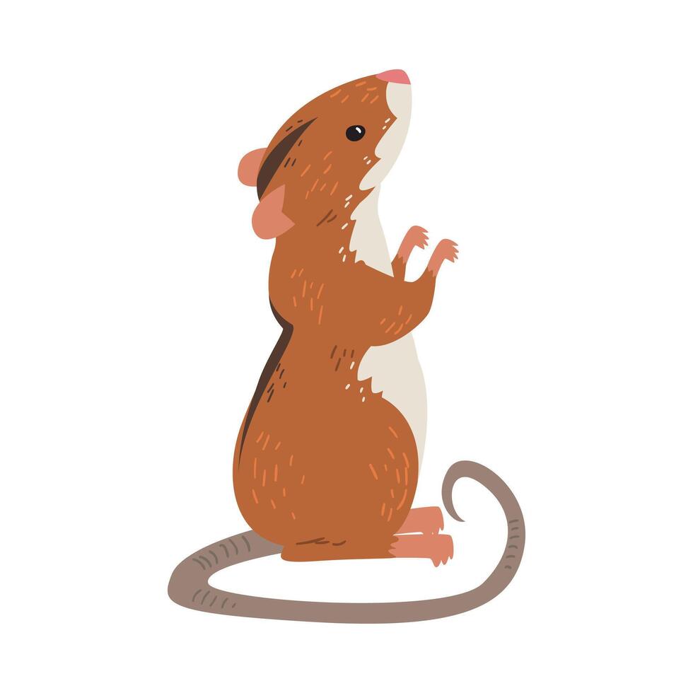 Field Mouse Standing on Hind Legs, Red Rodent Animal with Black Stripe on Its Back Illustration vector