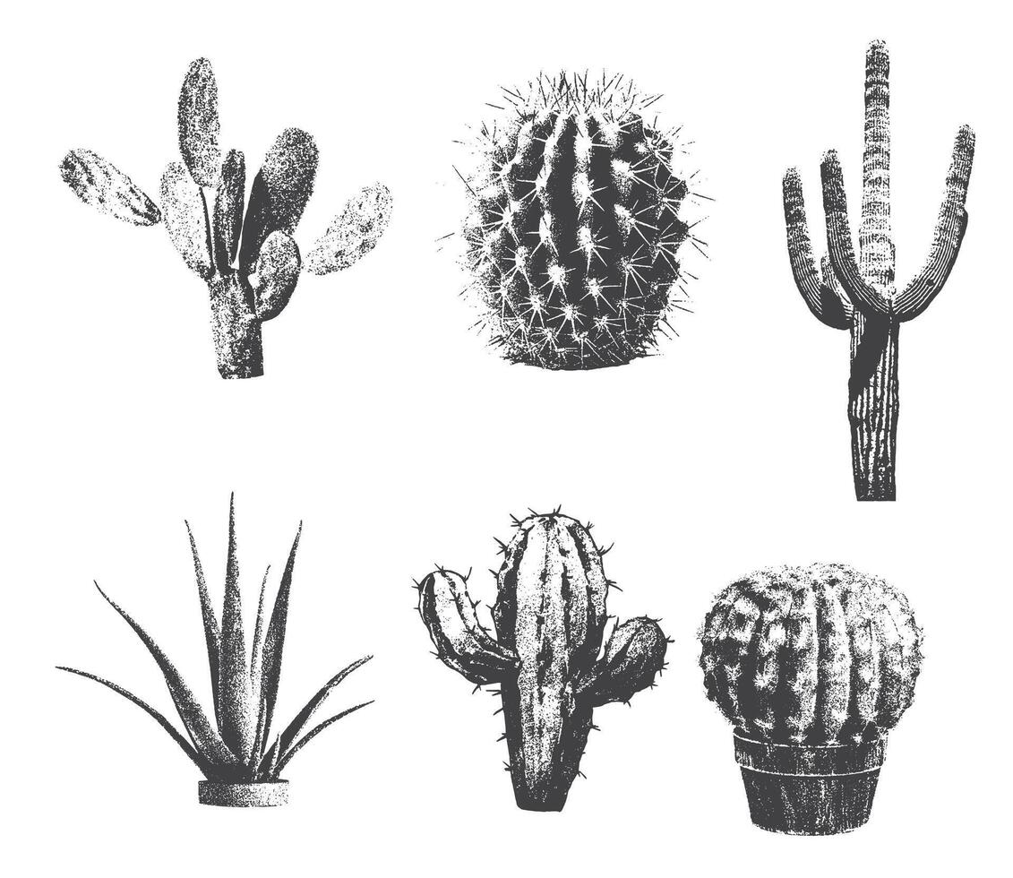 different cactuses with monochrome vintage photocopy effect, y2k collage design vector