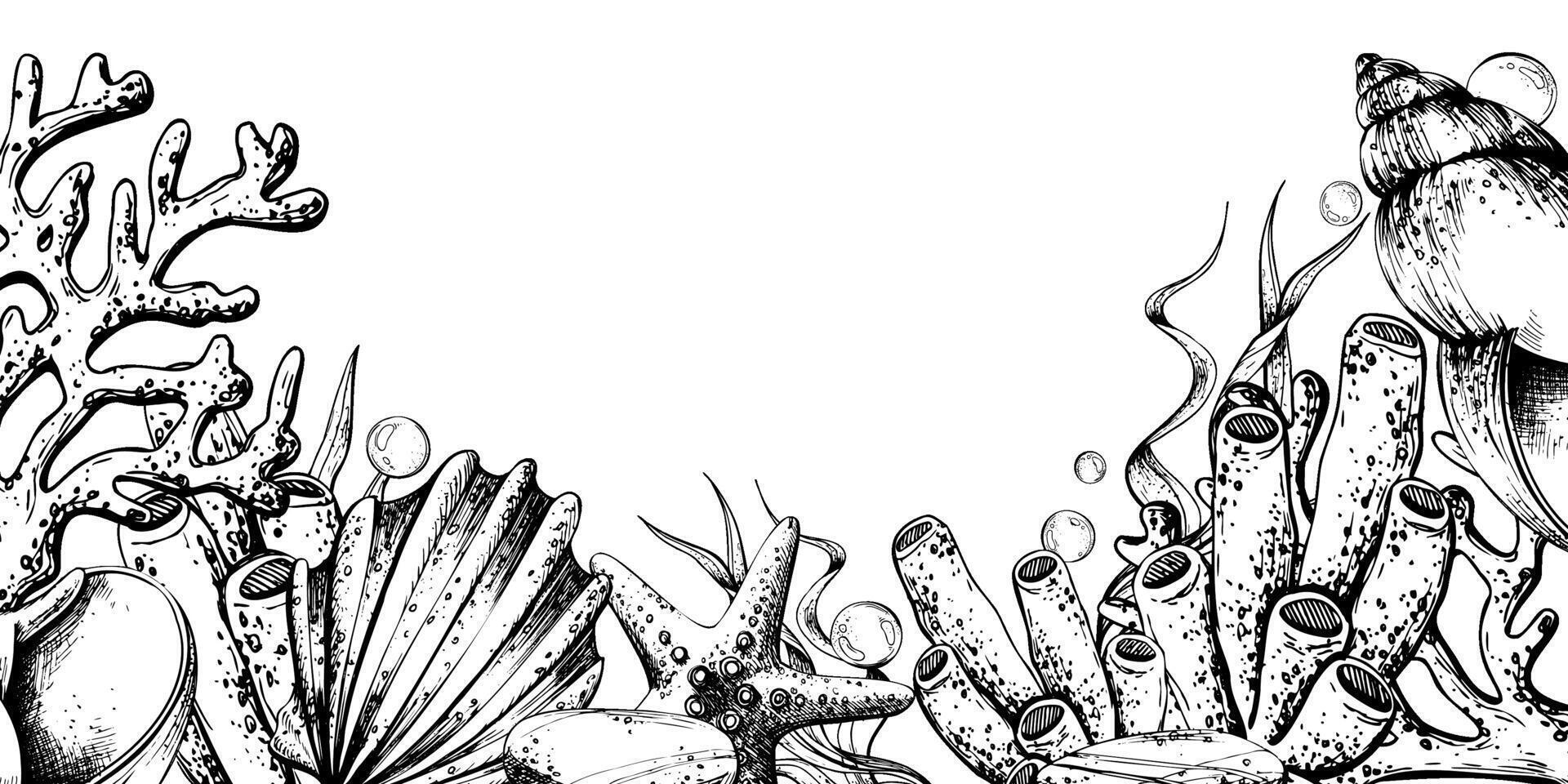 Corals, sea sponges, seaweed, shells, starfish and bubbles. Hand drawn graphic illustration in black and white color line art. Frame template horizontal for text on marine theme vector