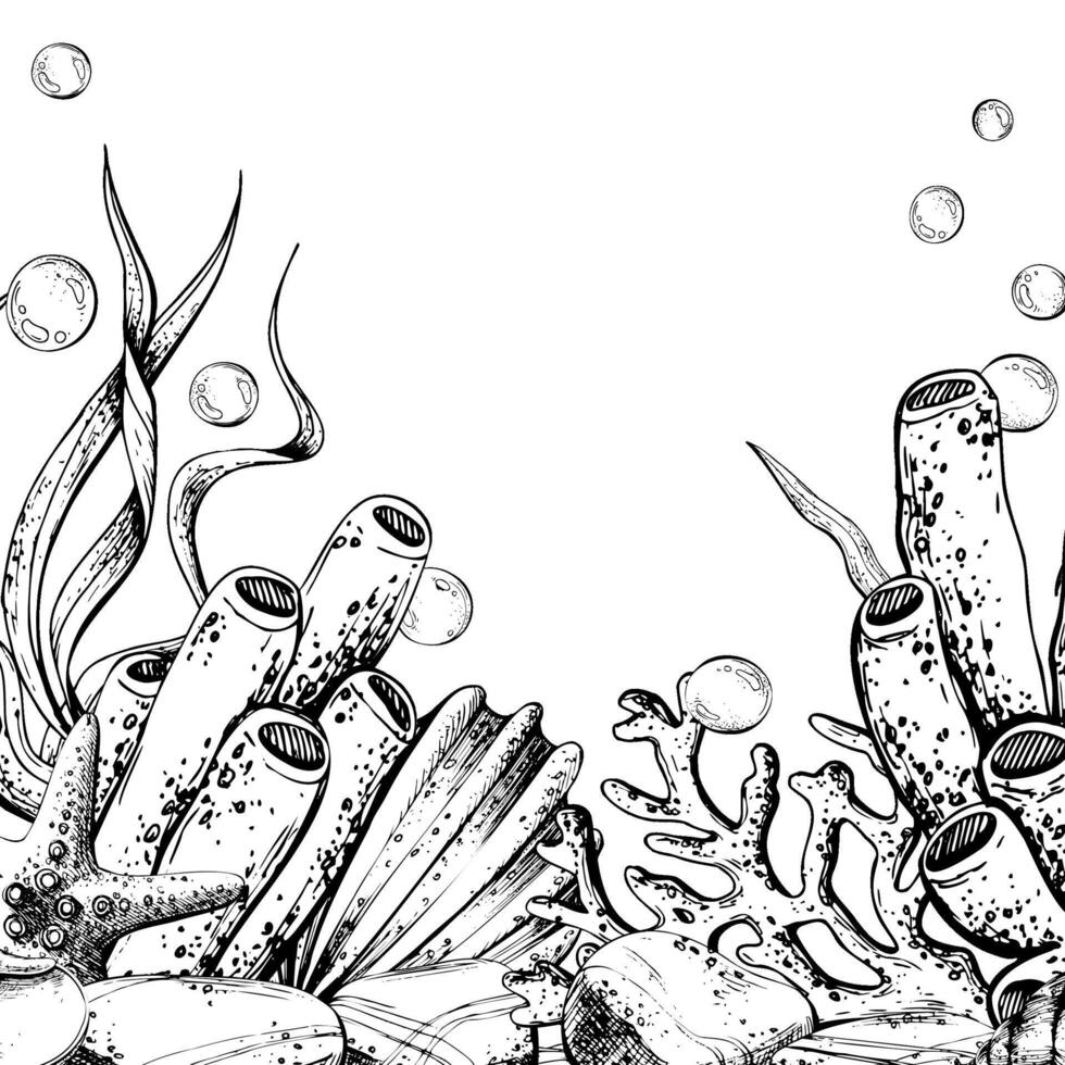 Seahorse, jellyfish, seashell, coral, starfish, sea sponge, algae, pebbles and bubbles. Hand drawn graphic illustration in black and white color line art. Frame template for text on marine sea theme vector
