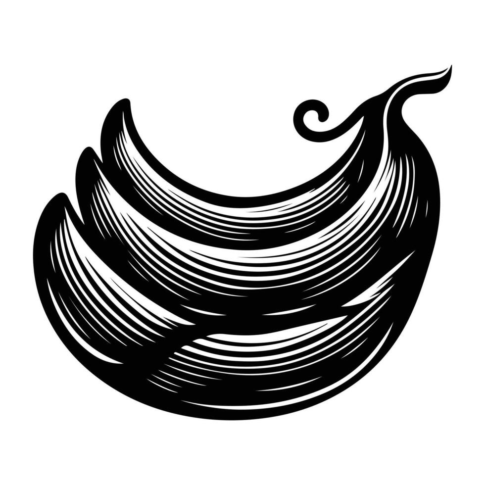 Black and White Tamarind Line Illustration vector