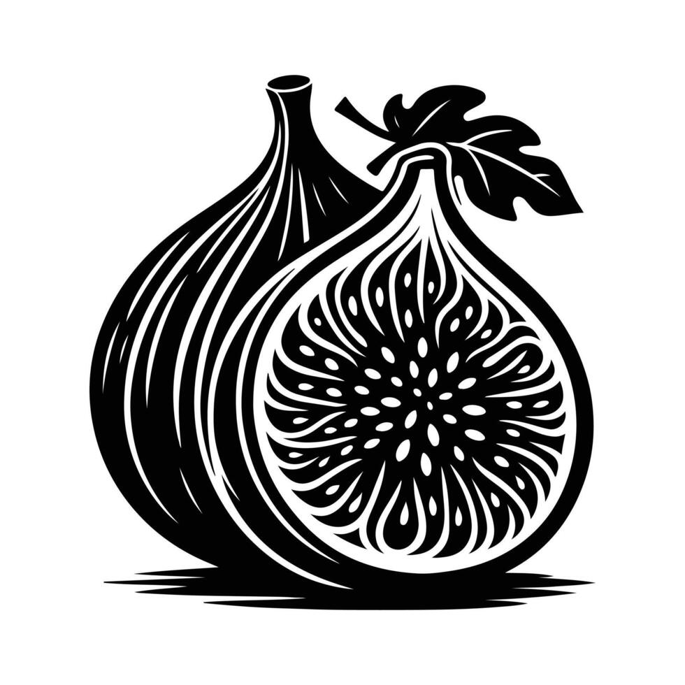 Fig Botanical Logo Illustration vector