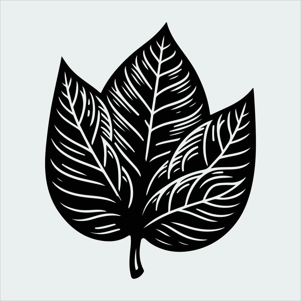 Annona Squamosa Fruit in Black Silhouette Including Leaves and Halves for Organic Branding vector