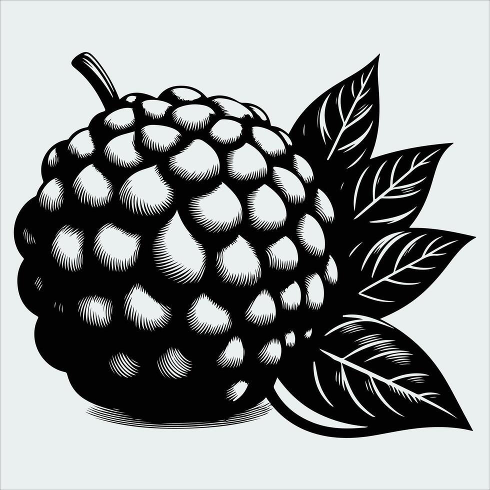 Custard Apple Fruit Silhouettes in Black Style with Whole Fruit Leaves and Cut Sections vector
